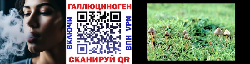 Псилоцибиновые грибы Magic Shrooms  где найти   Шали 