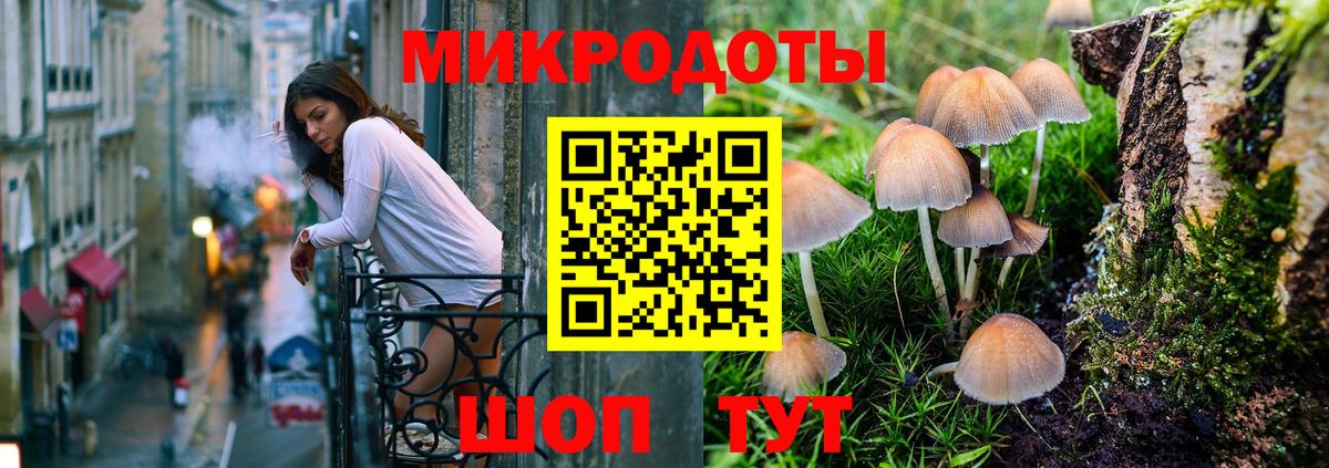 Шали  Псилоцибиновые грибы Cubensis  Вход с VPN  Галлюциногенные грибы GOLDEN TEACHER 